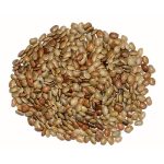 Kathmandu Gahat 1kg